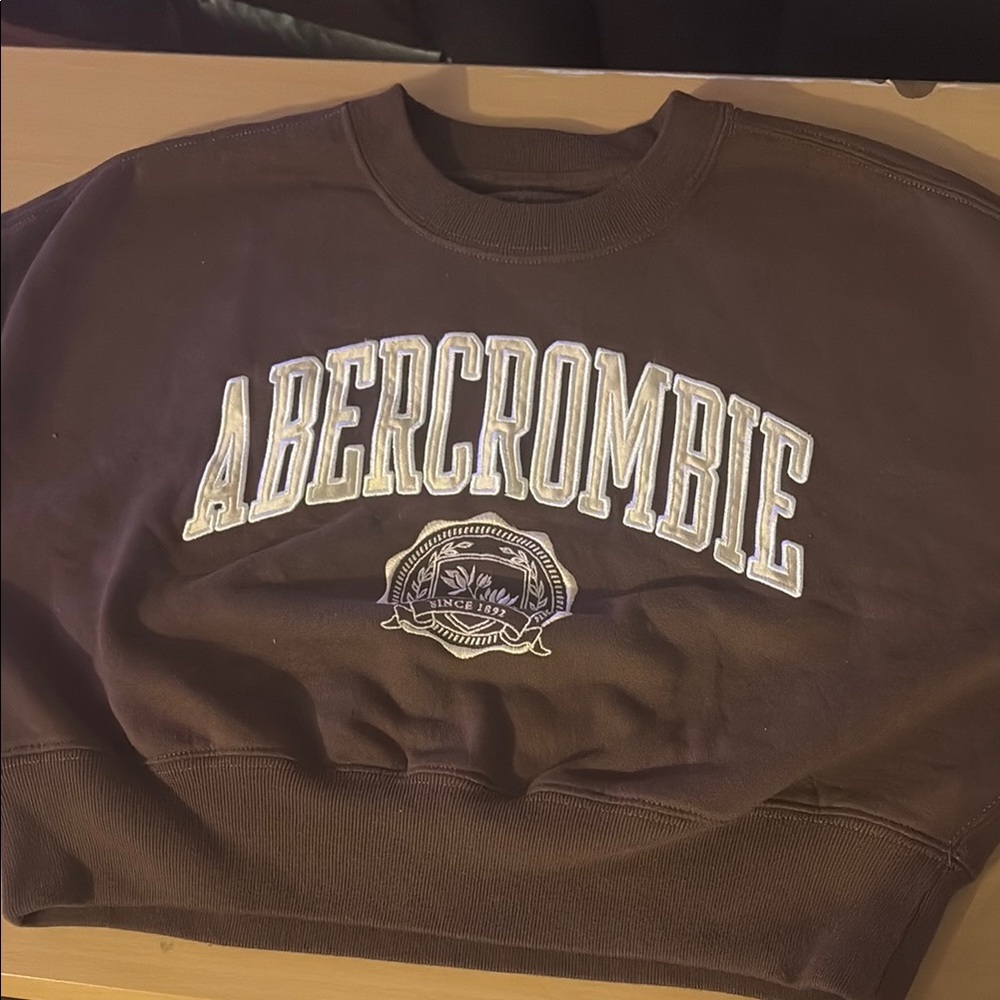 Abercrombie & Fitch Brown cropped Crew Neck Sweater